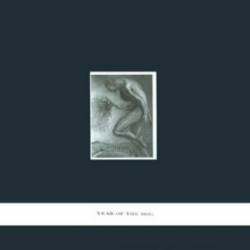 Fucked Up : Year Of The Dog